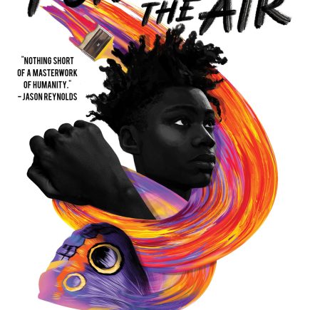 Punching the Air - Ibi Zoboi and Yusef Salaam