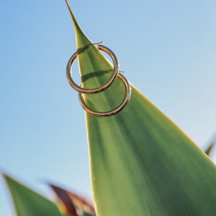 Gold staple hoop earrings on a green plant contrasting the blue sky 